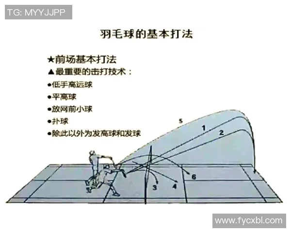 羽毛球比赛技术动作解析及训练指导